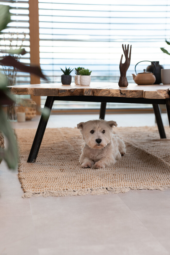 Virtuo Clem Around The Corner tendência minimalista