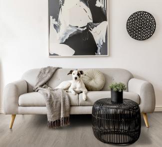 Sala Greenland Grey