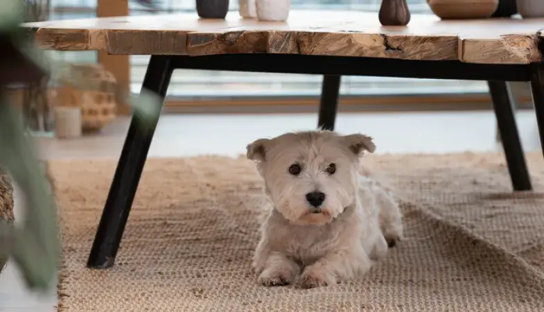 Virtuo Clem Around The Corner tendência minimalista